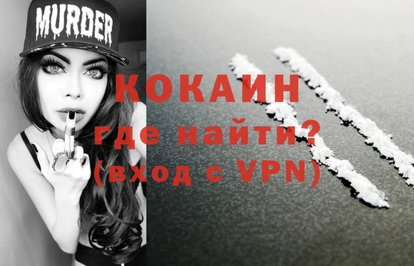 дмт Алзамай