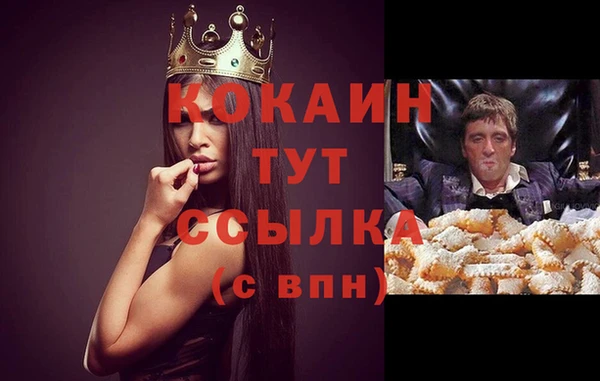 индика Зеленодольск